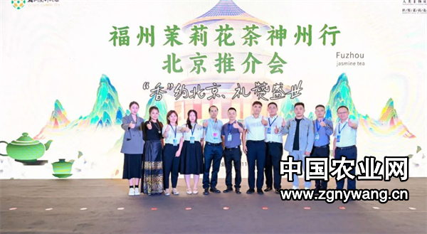 屏幕截图 2024-09-07 134312.png