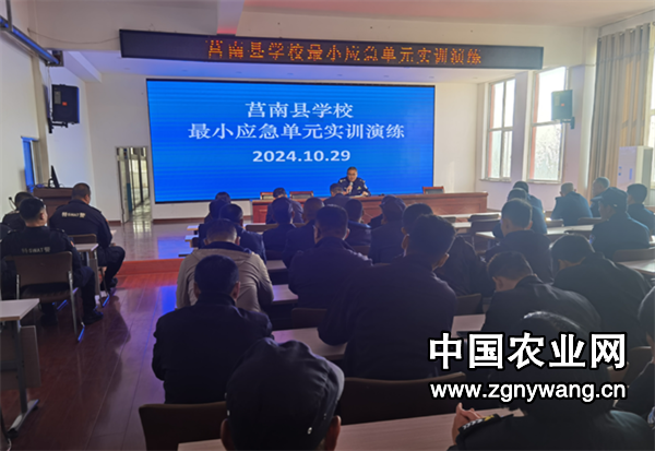 屏幕截图 2024-11-04 131518.png