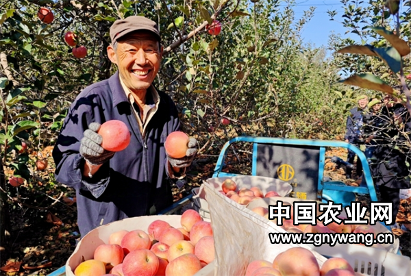 屏幕截图 2024-11-06 162612.png