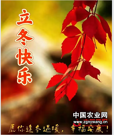 立冬1.png