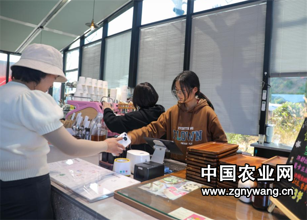 屏幕截图 2024-11-15 171531.png