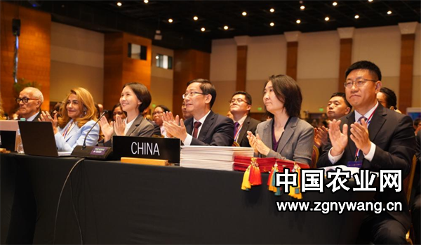 屏幕截图 2024-12-05 192827.png