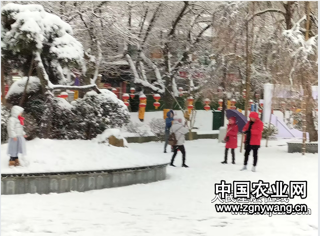 5庐山雪景.png
