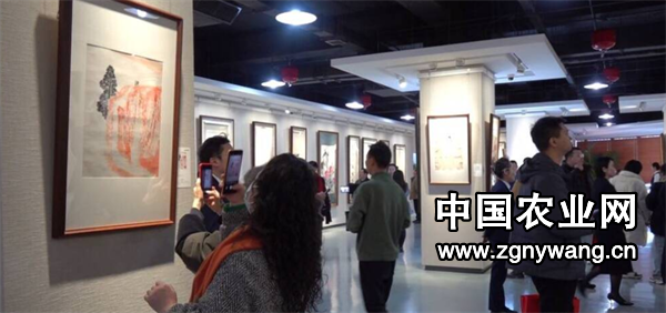 屏幕截图 2025-01-08 222807.png