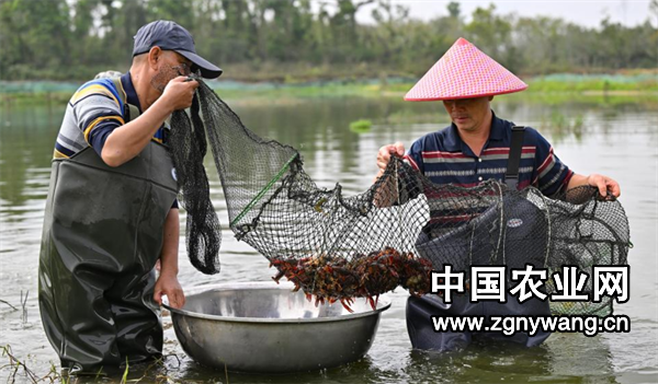 屏幕截图 2025-03-03 145154.png