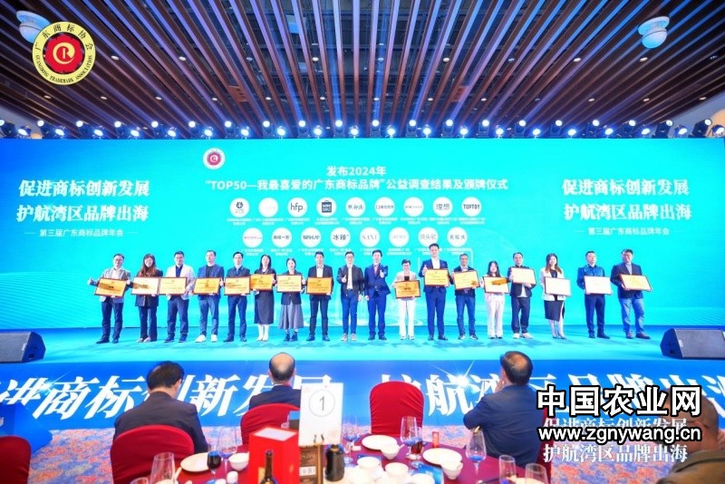 三重荣誉大奖加持 蛋壳科技品牌发展再上新台阶