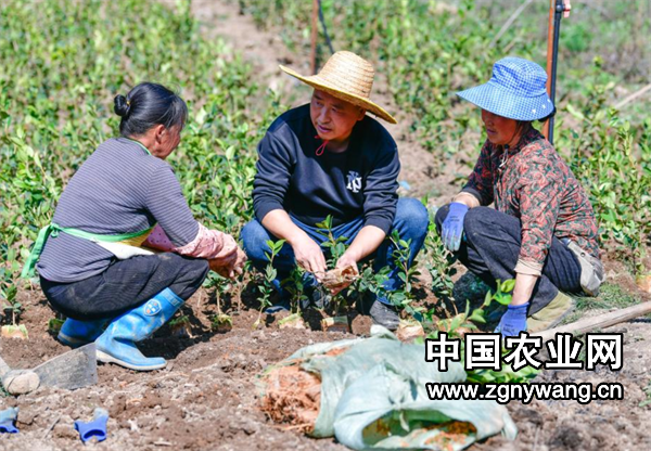 屏幕截图 2025-03-14 161506.png