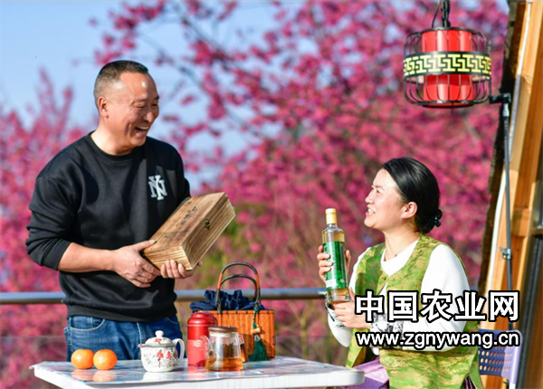 屏幕截图 2025-03-14 161540.png