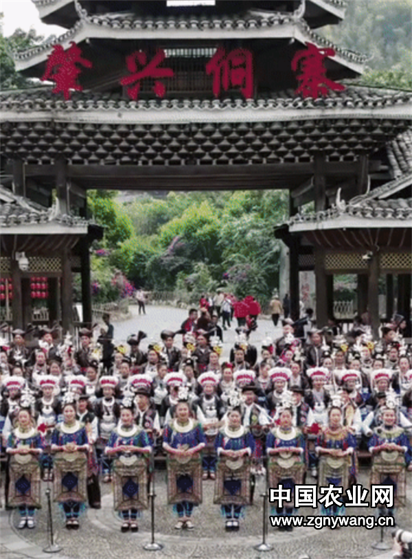 屏幕截图 2025-03-21 204310.png