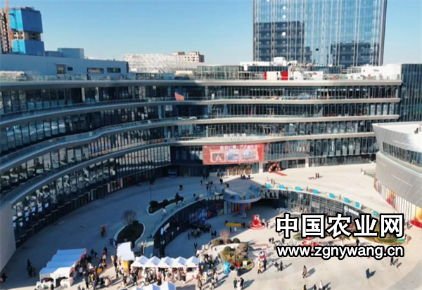 屏幕截图 2025-03-28 132842.png