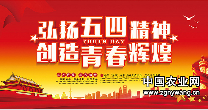 五四青年节.png