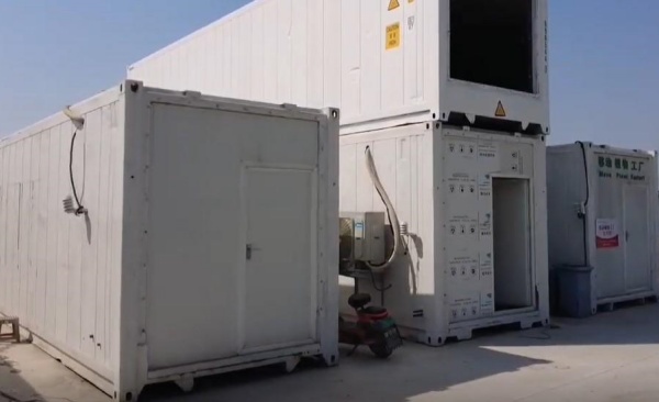 远洋科考船也能长出新鲜蔬菜！寿光一企业把废弃集装箱变身“植物方舟”