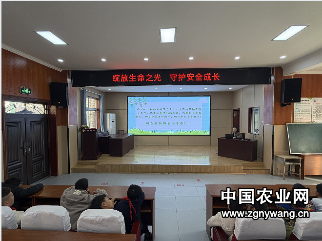绽放生命之光 守护安全成长 ——湖北荆门沙洋县洪岭小学开展“珍爱生命”主题教育活动