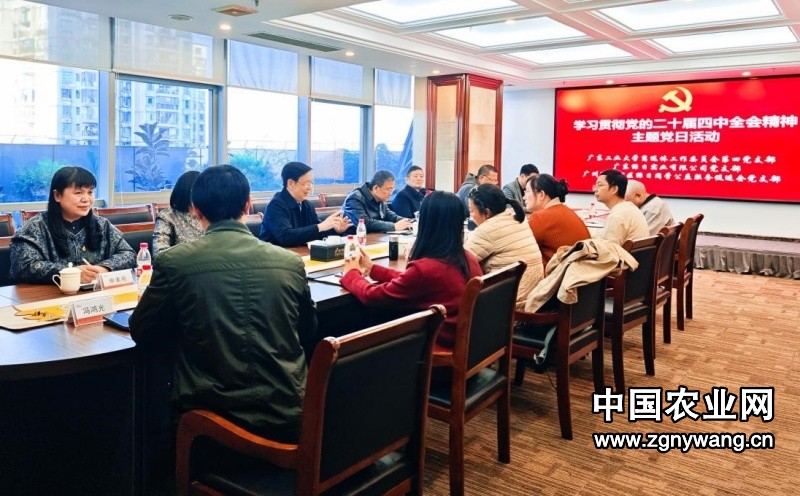 绿日集团：前瞻绿色发展新路