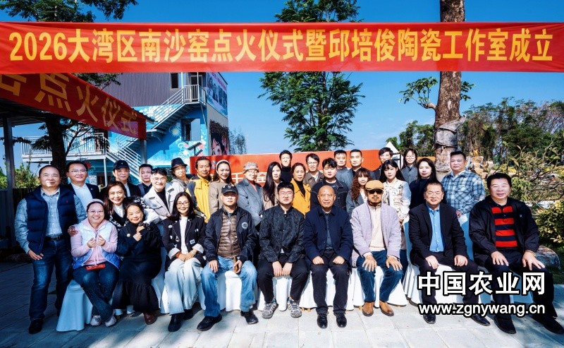 南沙窑点火开窑，麟界数科助力陶瓷文化创新