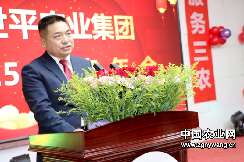 聚力三农 共启新程|喀什世平农业集团2025年会燃情绽放