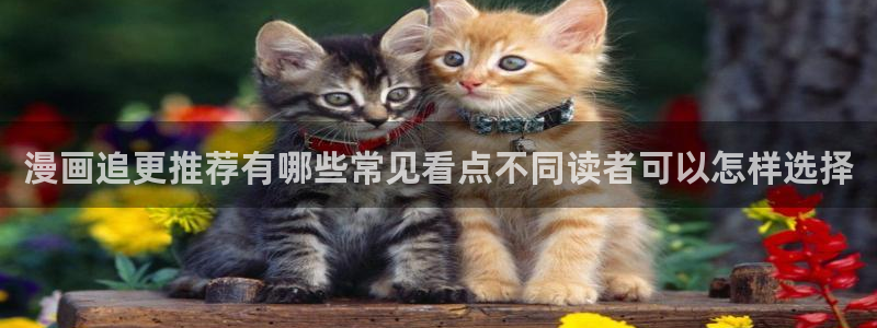 免费漫画阅读网