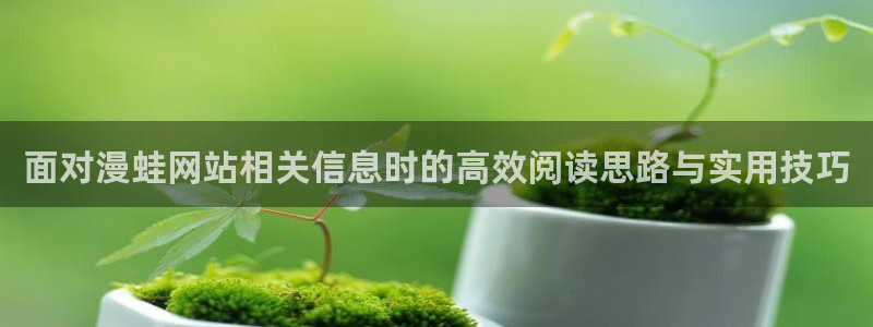 在线漫画平台:面对漫蛙网站相关信息时的高效阅读思路与实用技巧